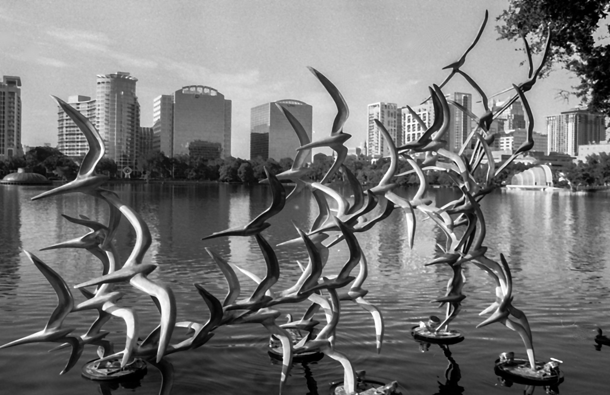 Lake Eola-2.jpg