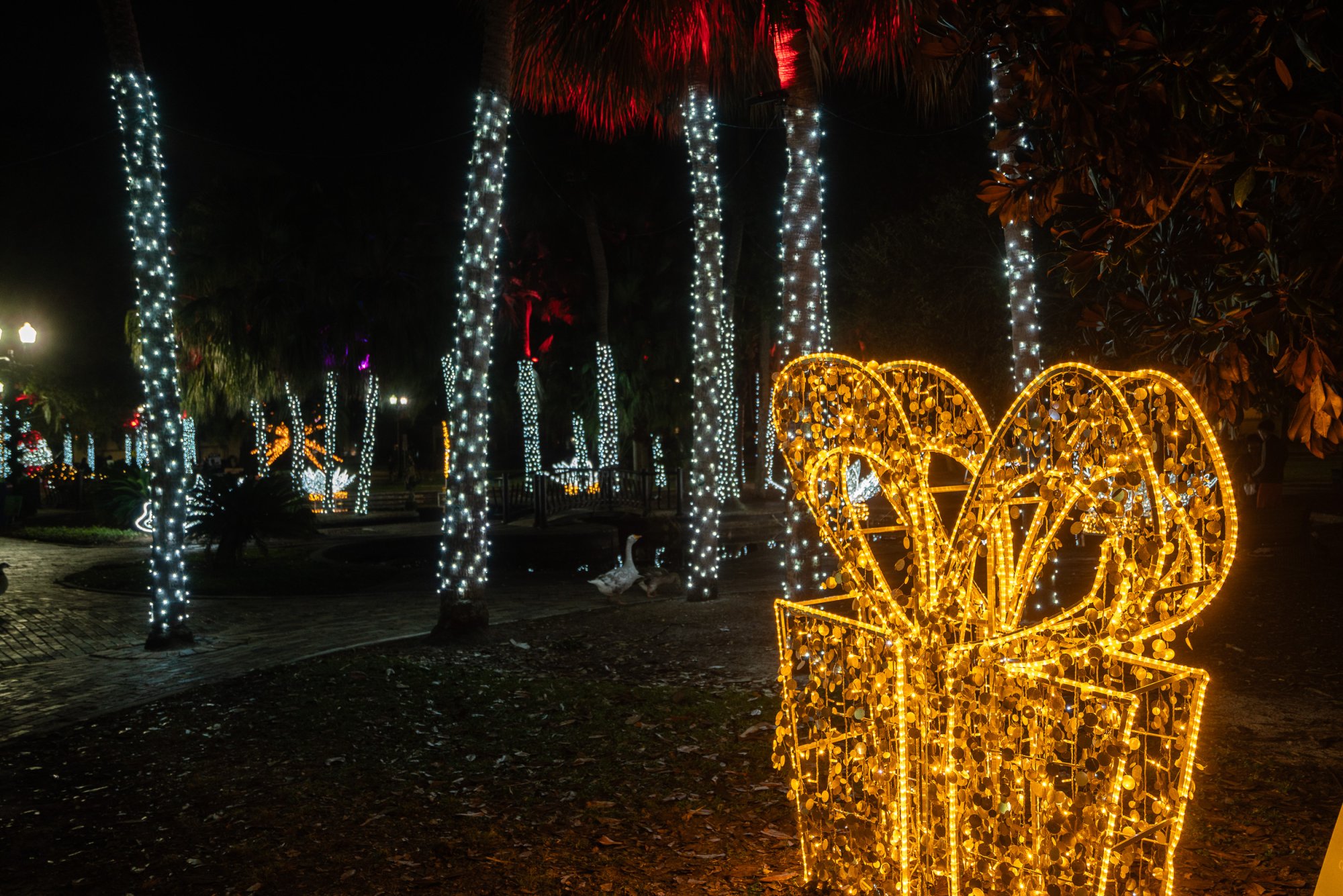 Lake Eola 2023 - 2500px-2.jpg