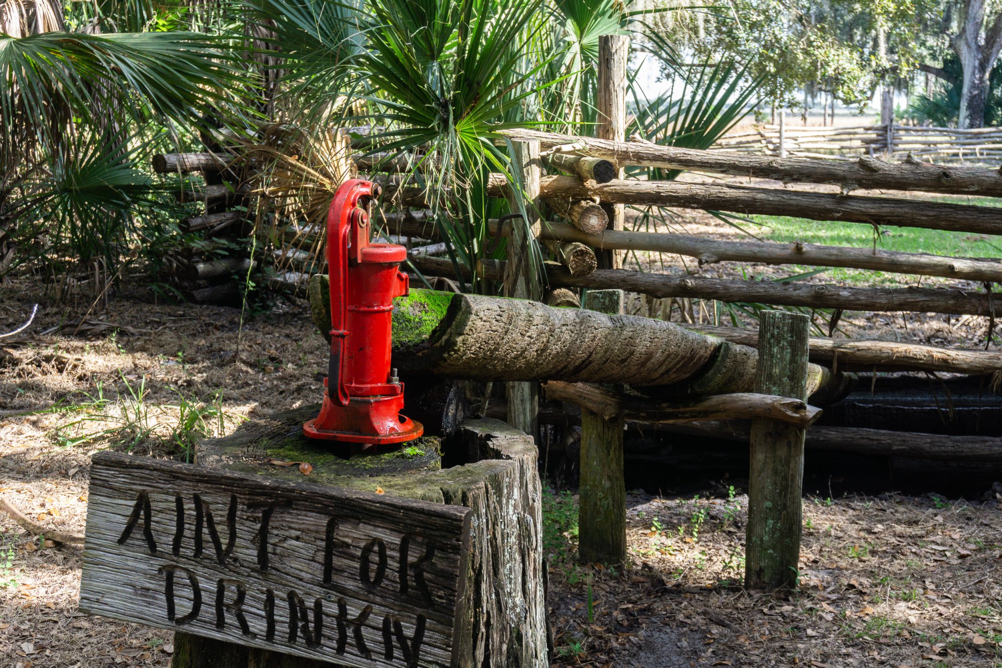 Lake Kissimmee SP-2500px-6.jpg