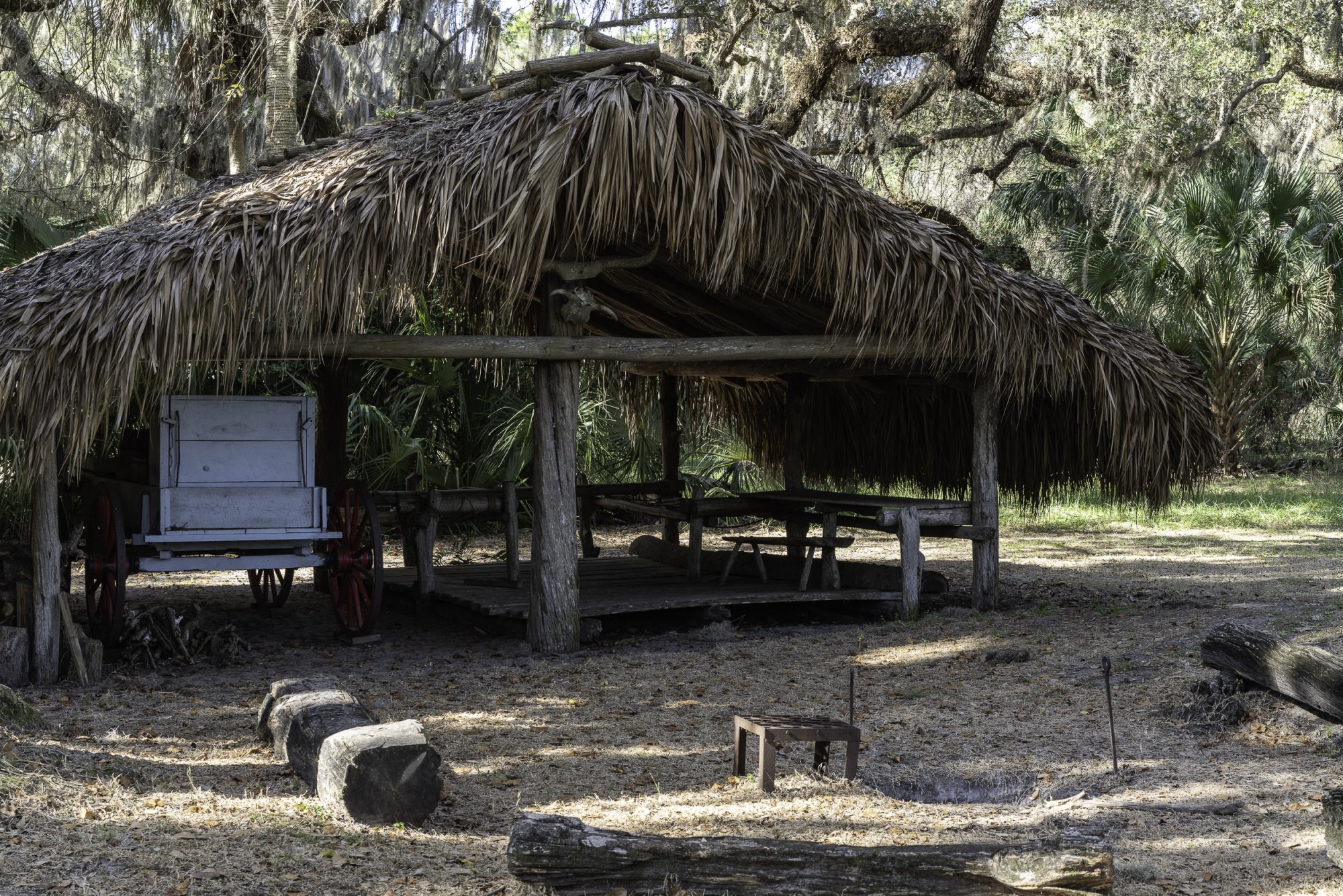 Lake Kissimmee SP - 2500pz-5.JPG