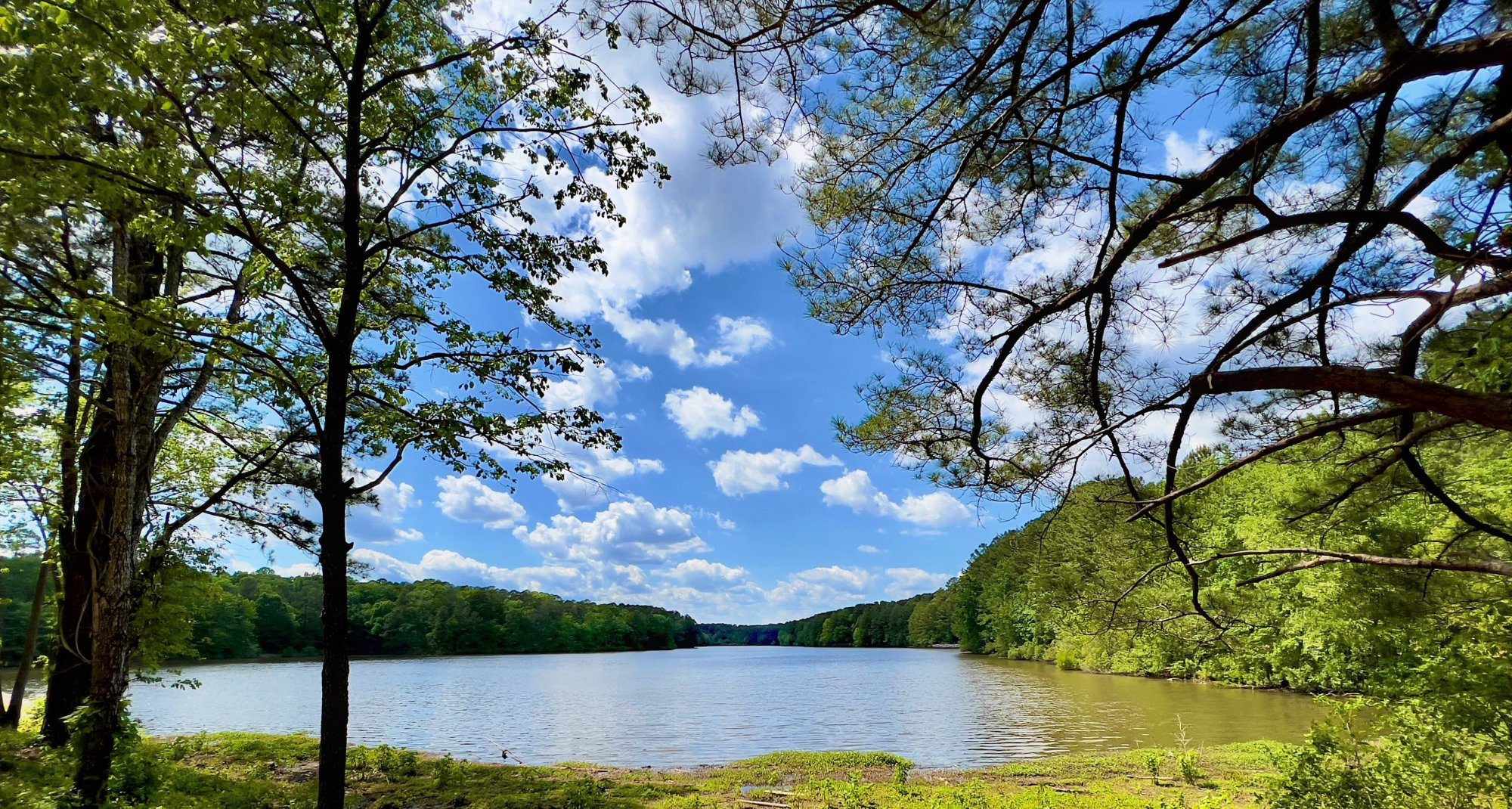 Lake Pine.jpg