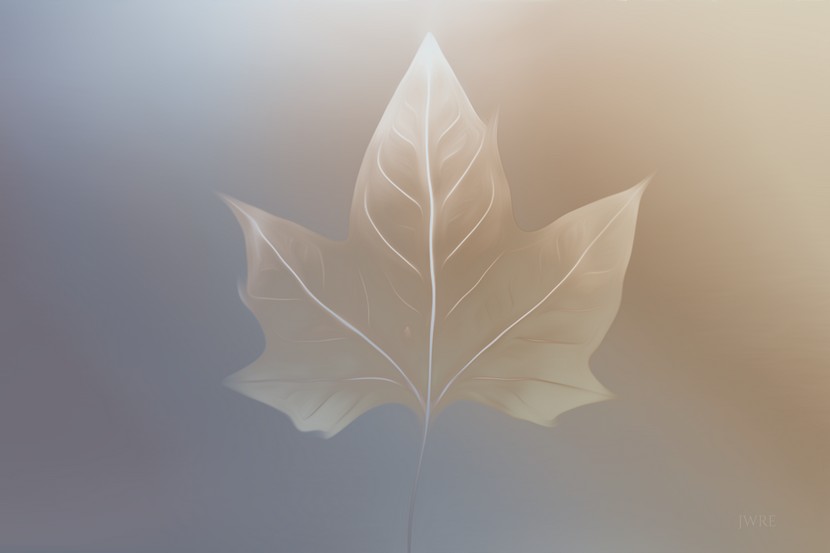 Leaf Artist John Emmett.jpg