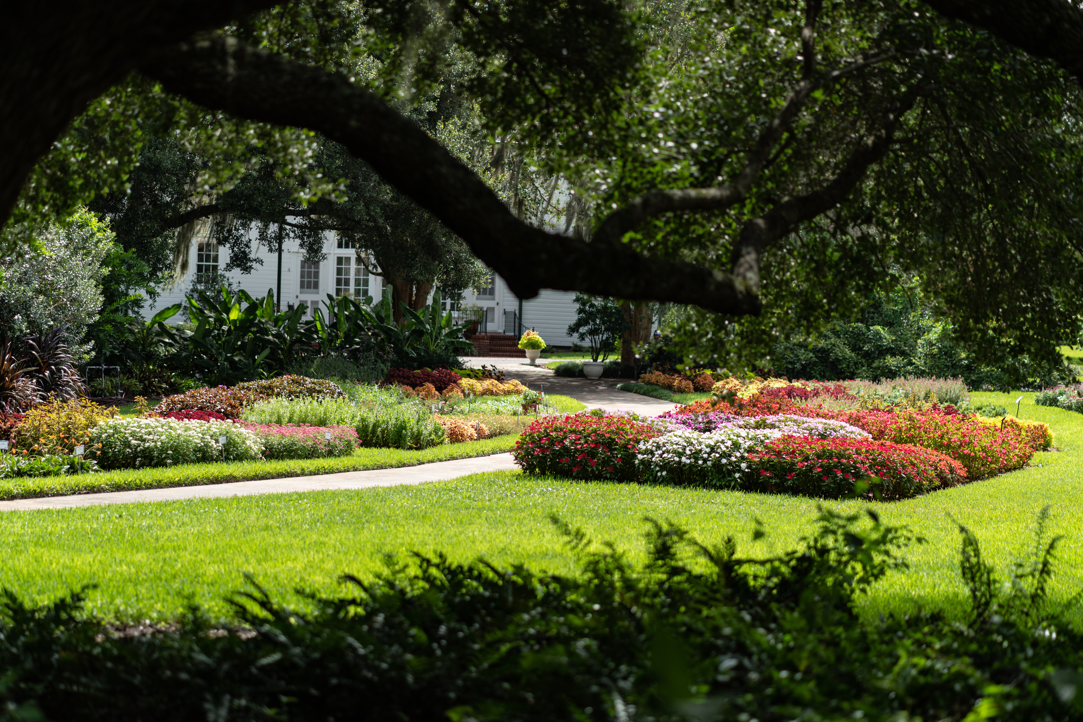 Leu Gardens Aug 2019-2500px-16.jpg