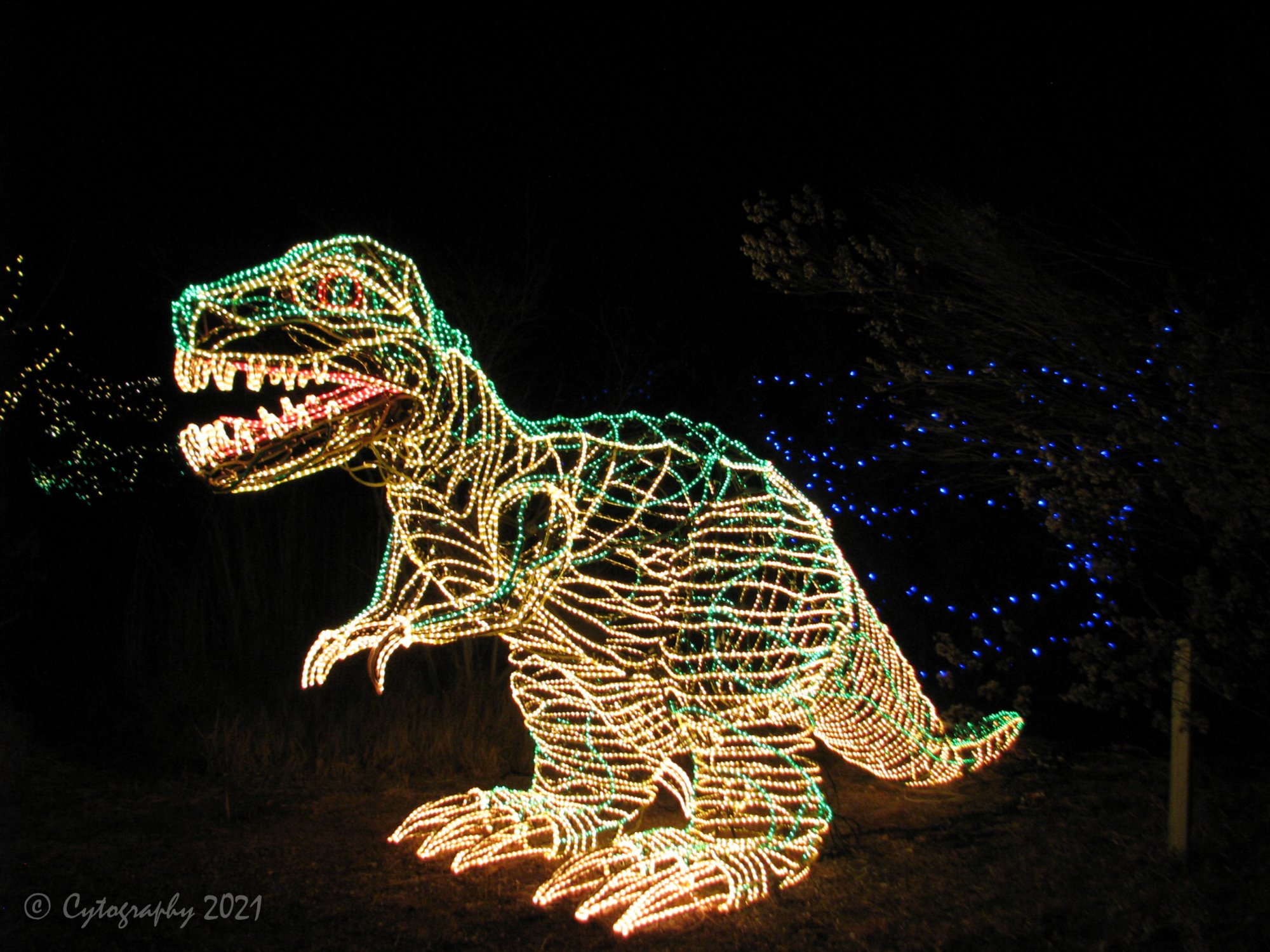 Light Dino.jpg