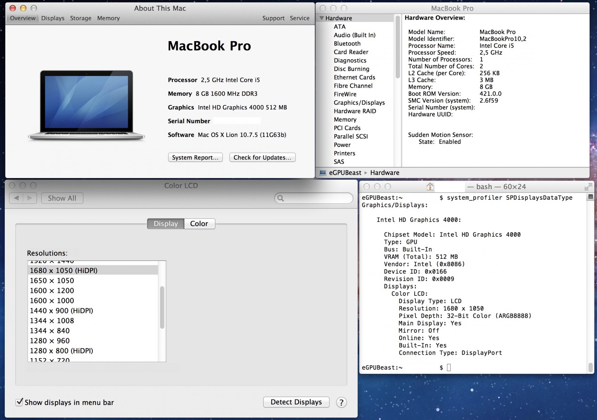 lionrMBP.jpg