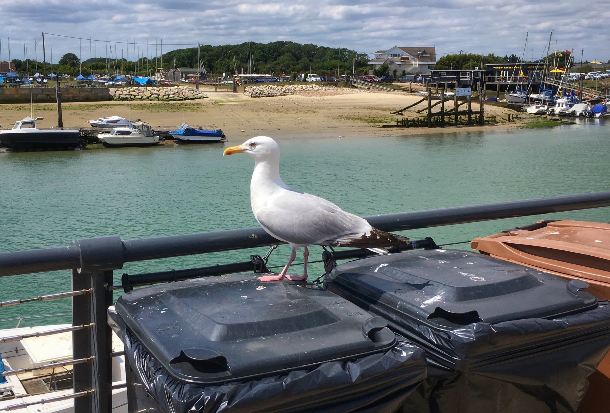 LITTLEHAMPTON - 13.07.2019_11.JPG