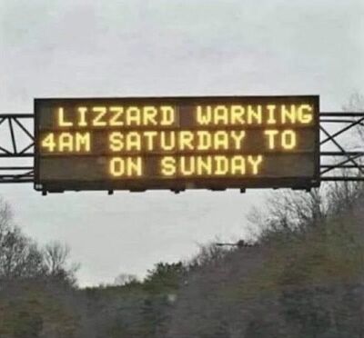 lizzard warning.jpg