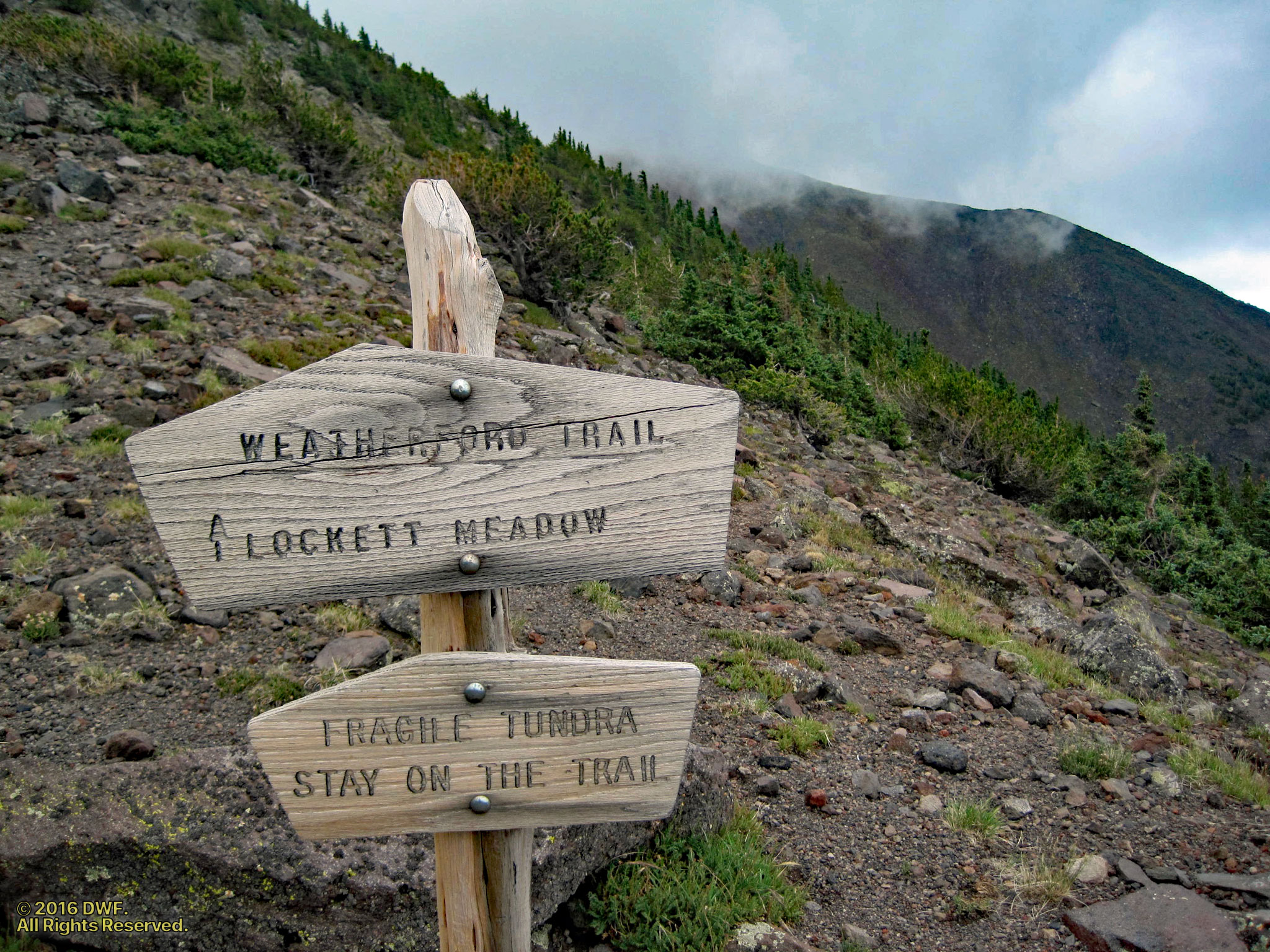 Lockett Meadow.jpg