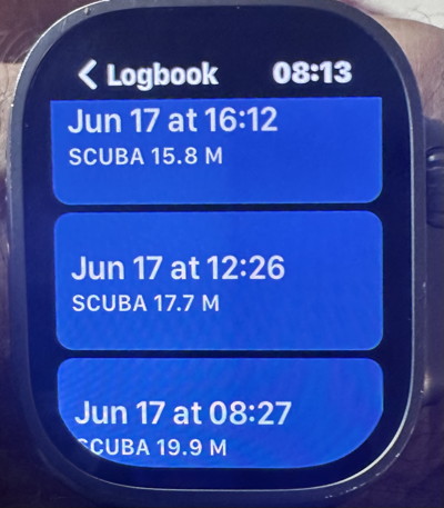 LogbookWatch1.jpg