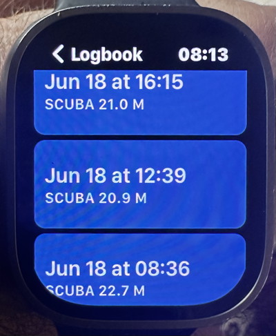 LogbookWatch2.jpg