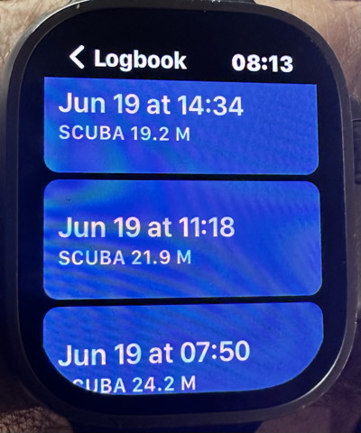 LogbookWatch3.jpg