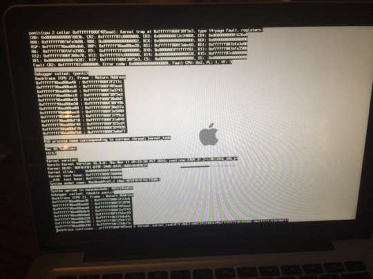 macbook glitch 2.jpg