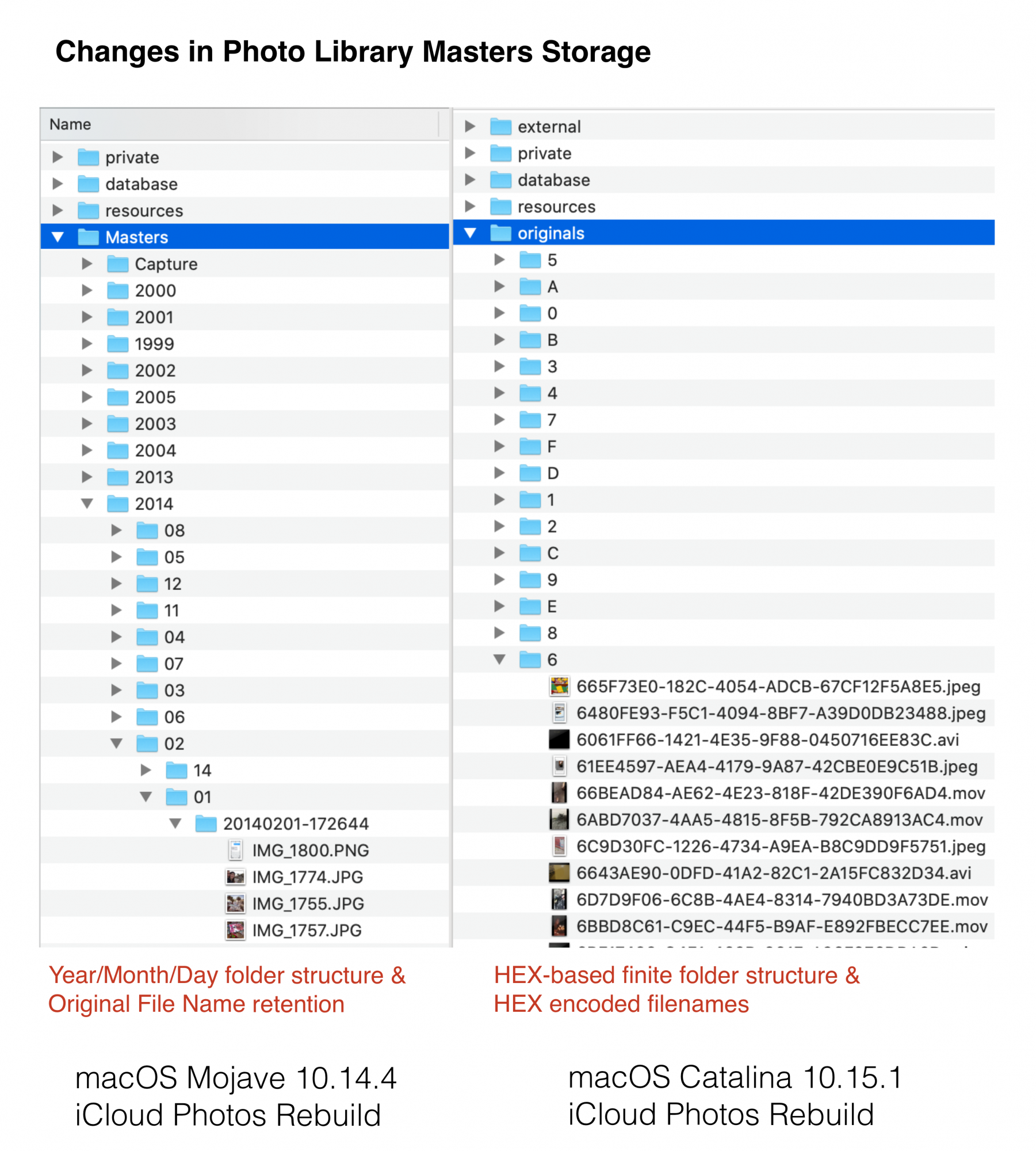 macOS 15 Photo Library Structure Changes@2x.png