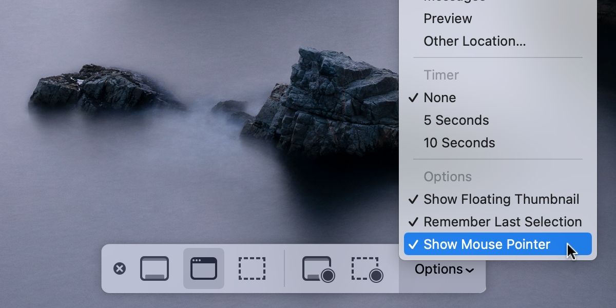 macos-screenshot-options.jpg