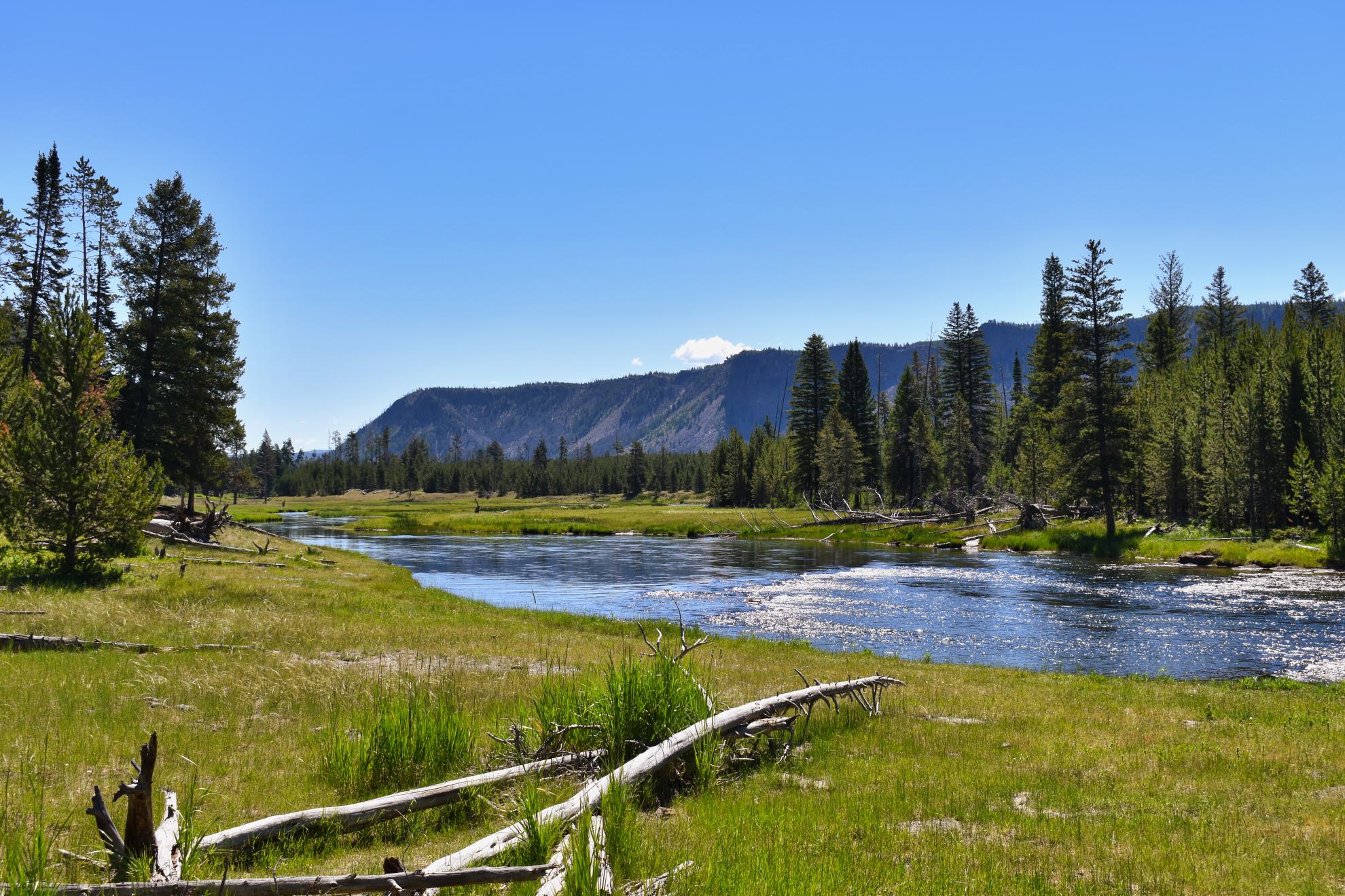 Madison_River_West_Entrance_Yellowstone.jpeg