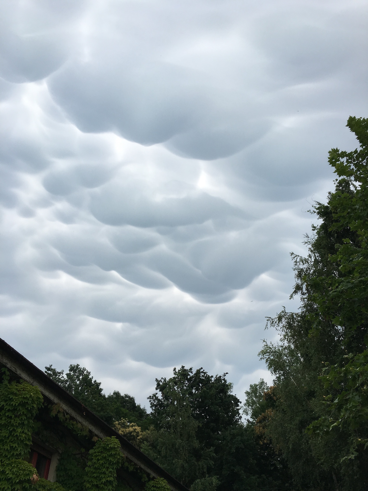 Mammatus clouds.jpg