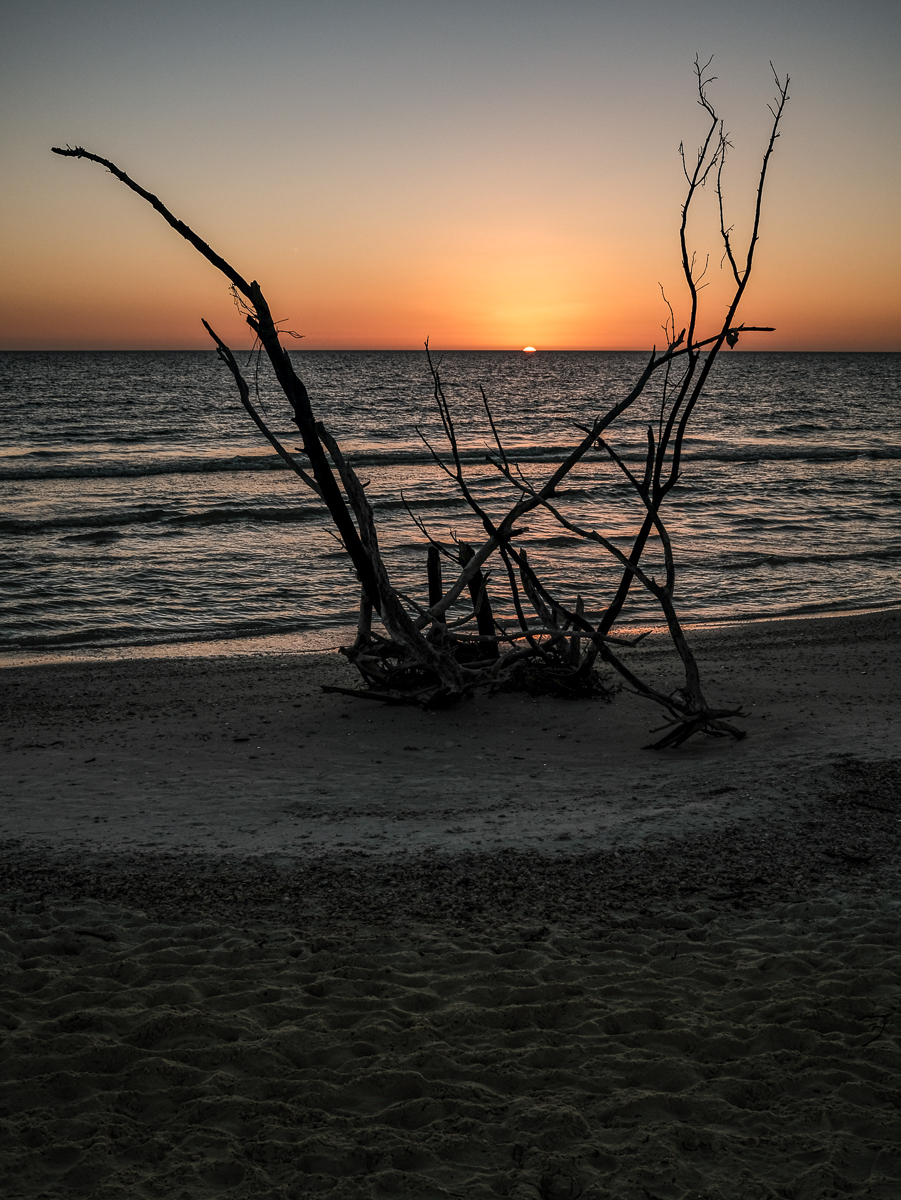 Marco Island_130_2021_02_27_0274.jpg