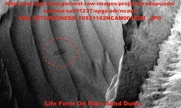 Mars-Worm4-460704.jpg