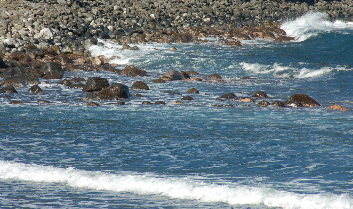 Maui beach.jpg