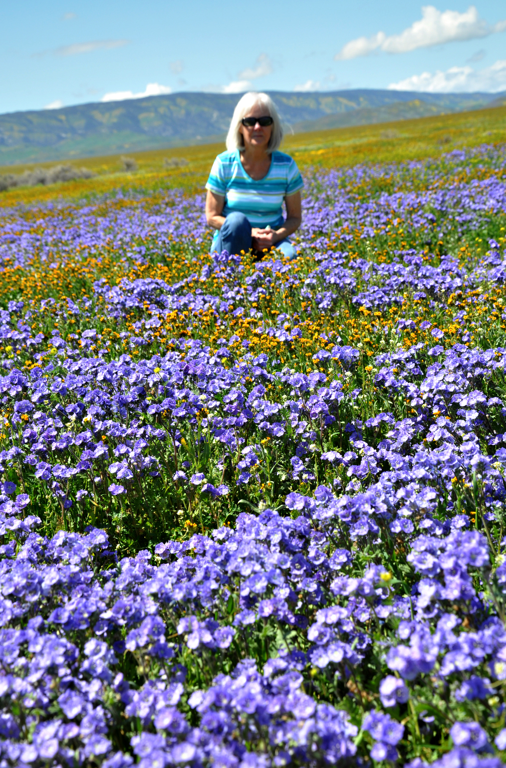 MD Flower Fields.jpg