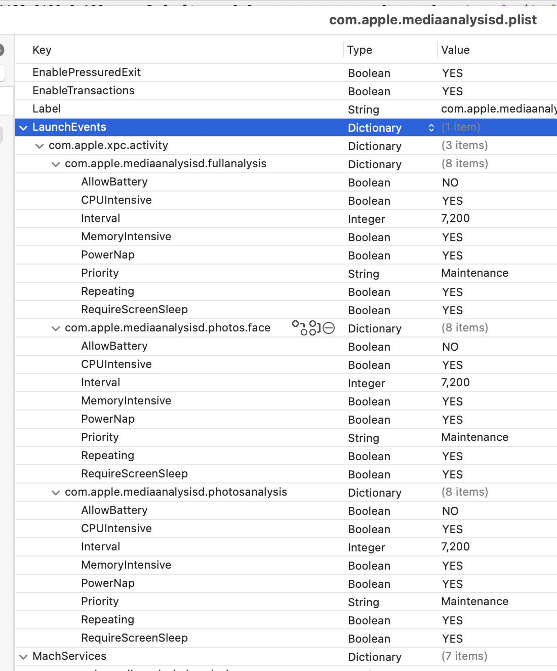 Mediaanalysisd launchclt plist.png