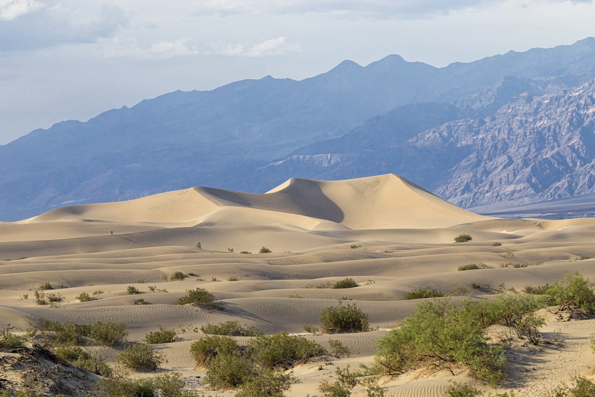 Mesquite Dunes 1.jpg