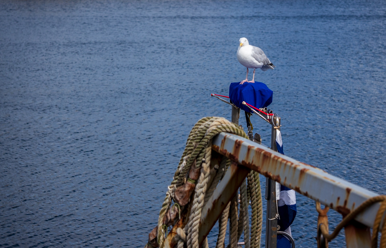 Millport20110814.jpg