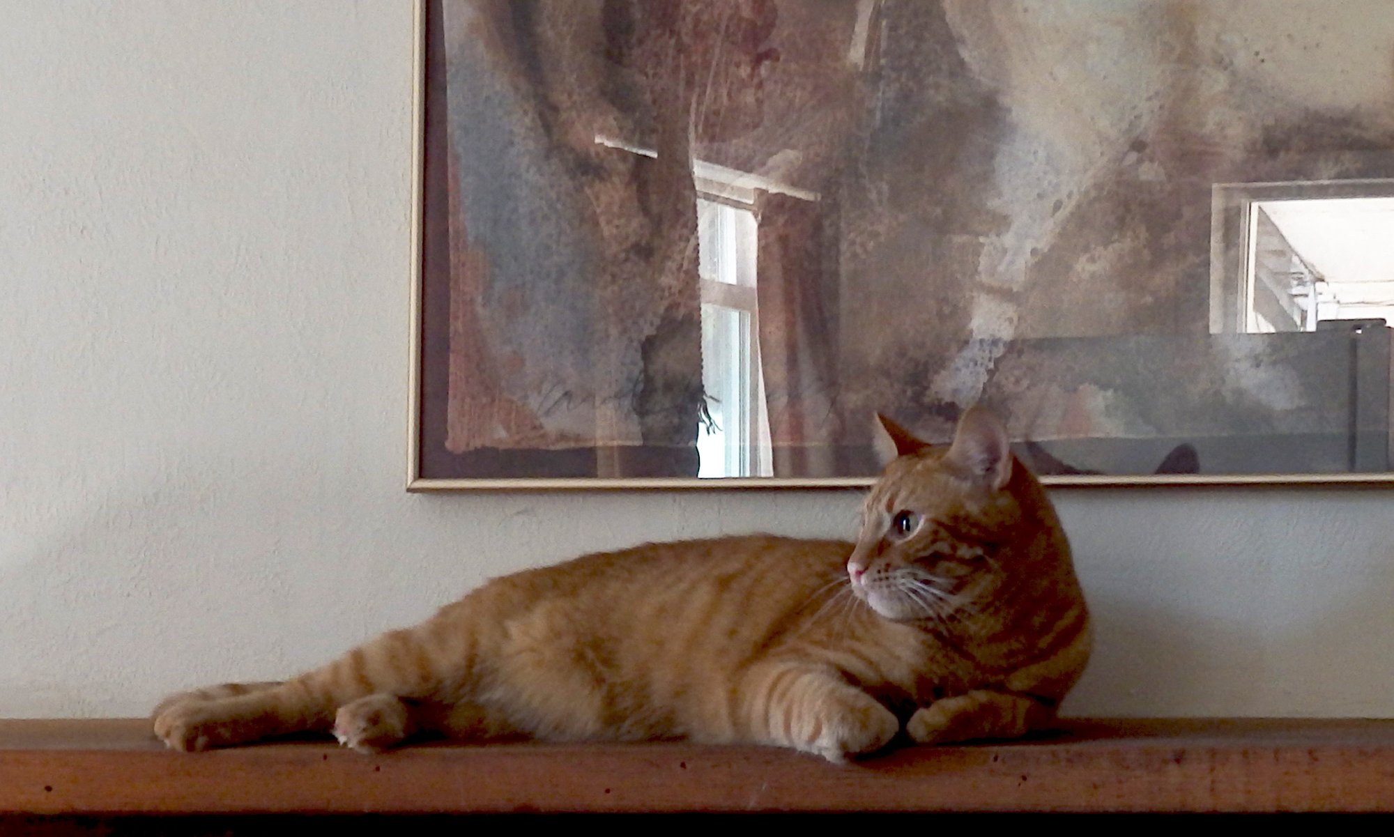 Milo on mantle 2.jpg