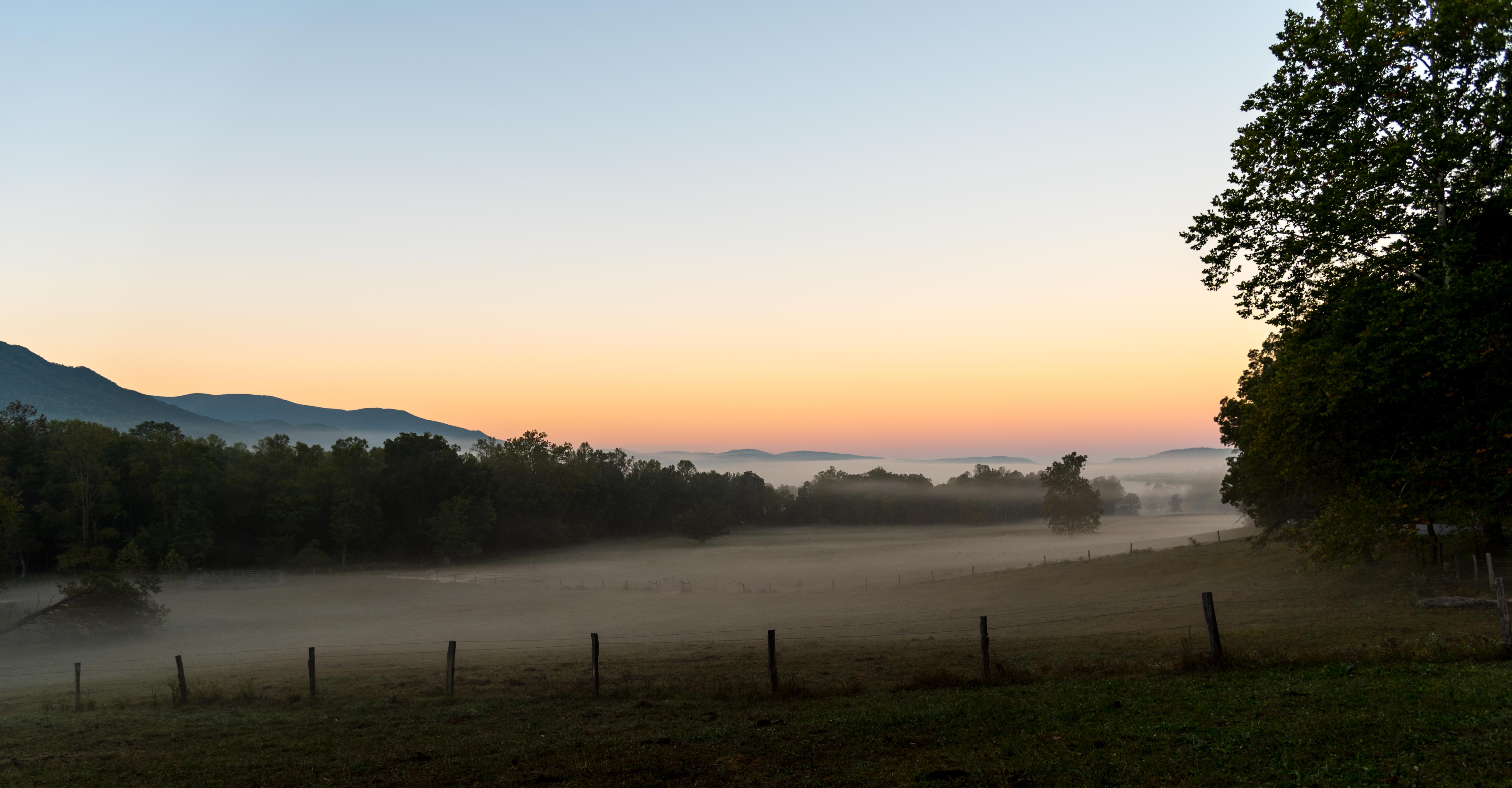 Mist at Sunrise.jpg