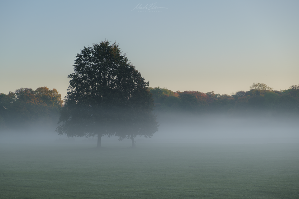 Misty Morning small PL.png