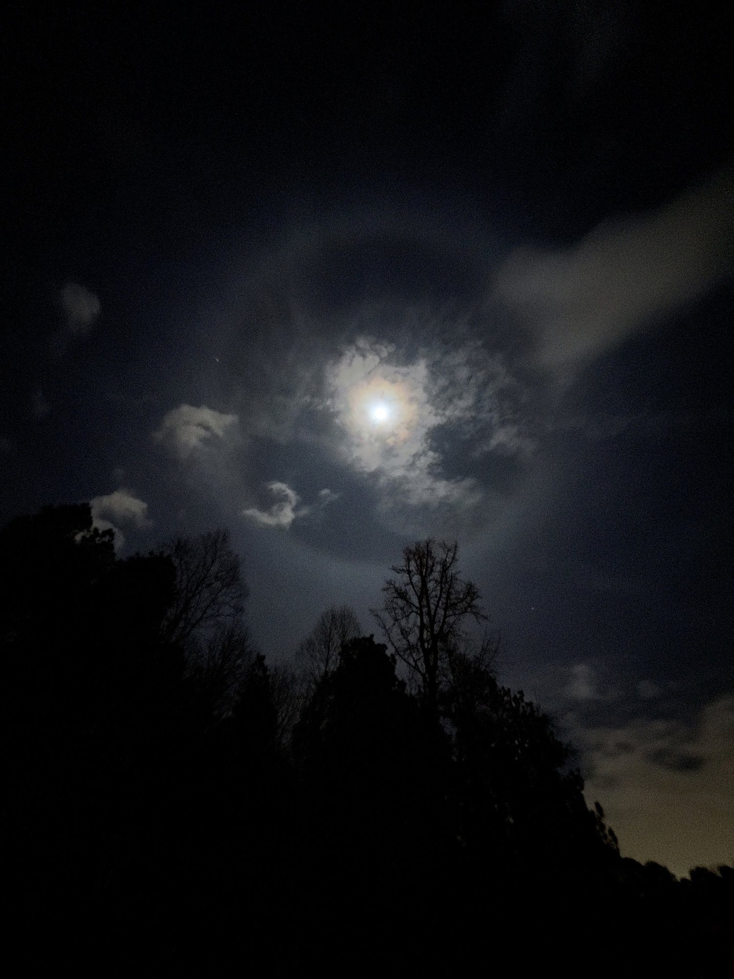 Moon Halo.jpg