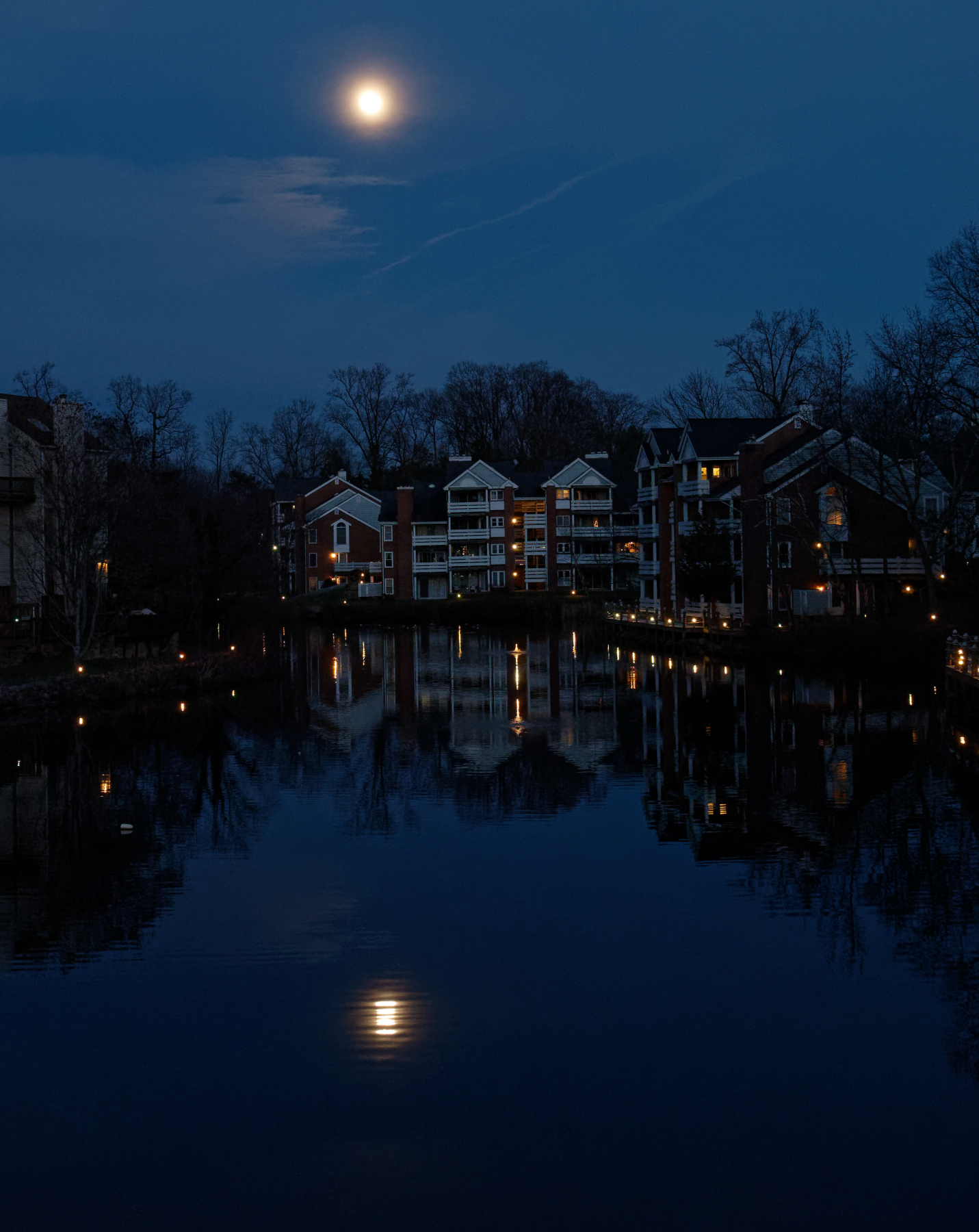 Moonlight Reflections.jpg