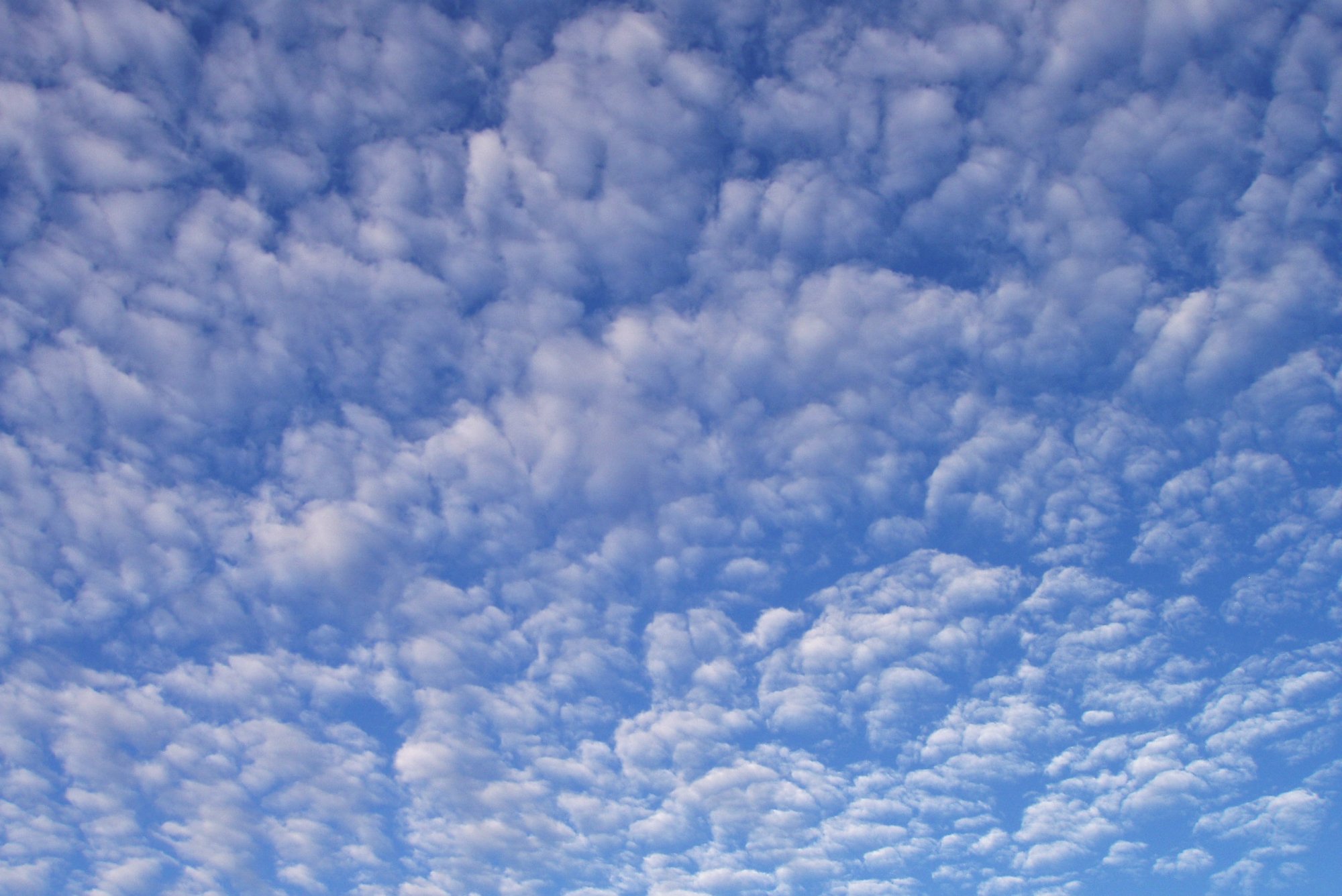 morning clouds 8.05.22.jpg