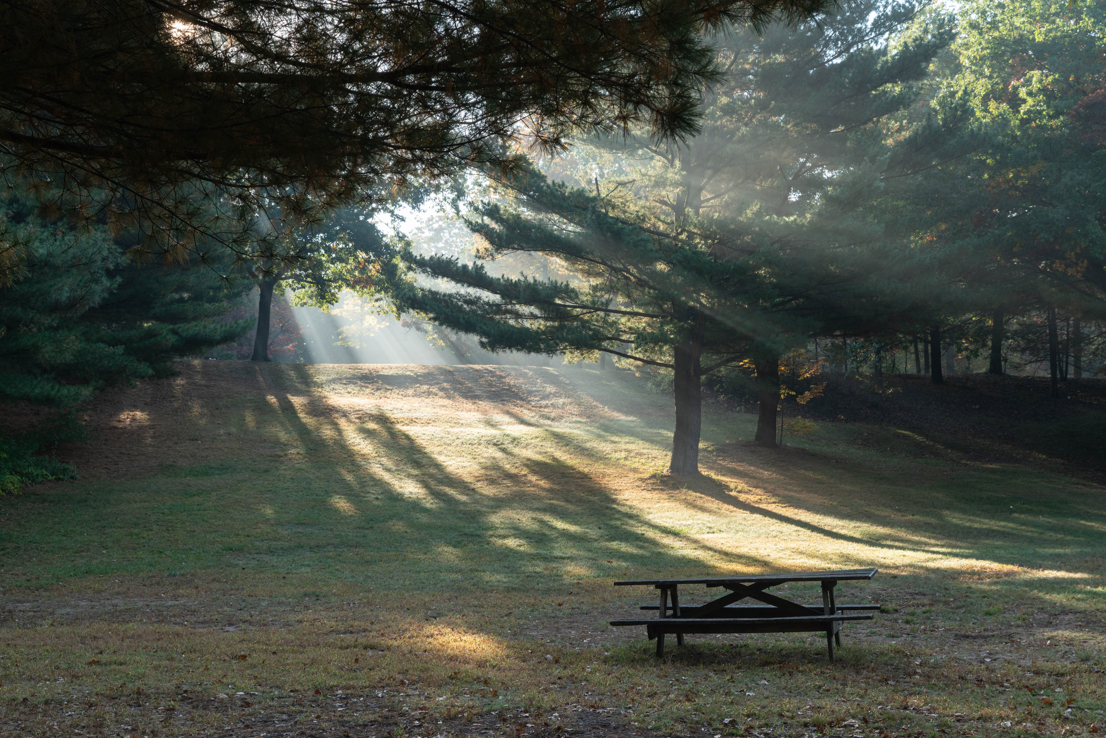 Morning Fog 2500px-1.jpg