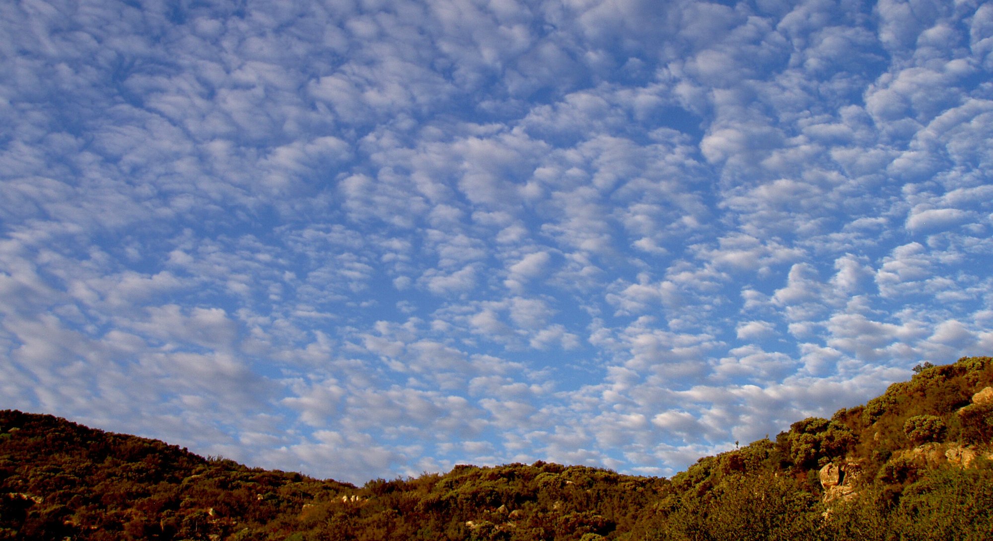 morning sky 2 8.05.22.jpg