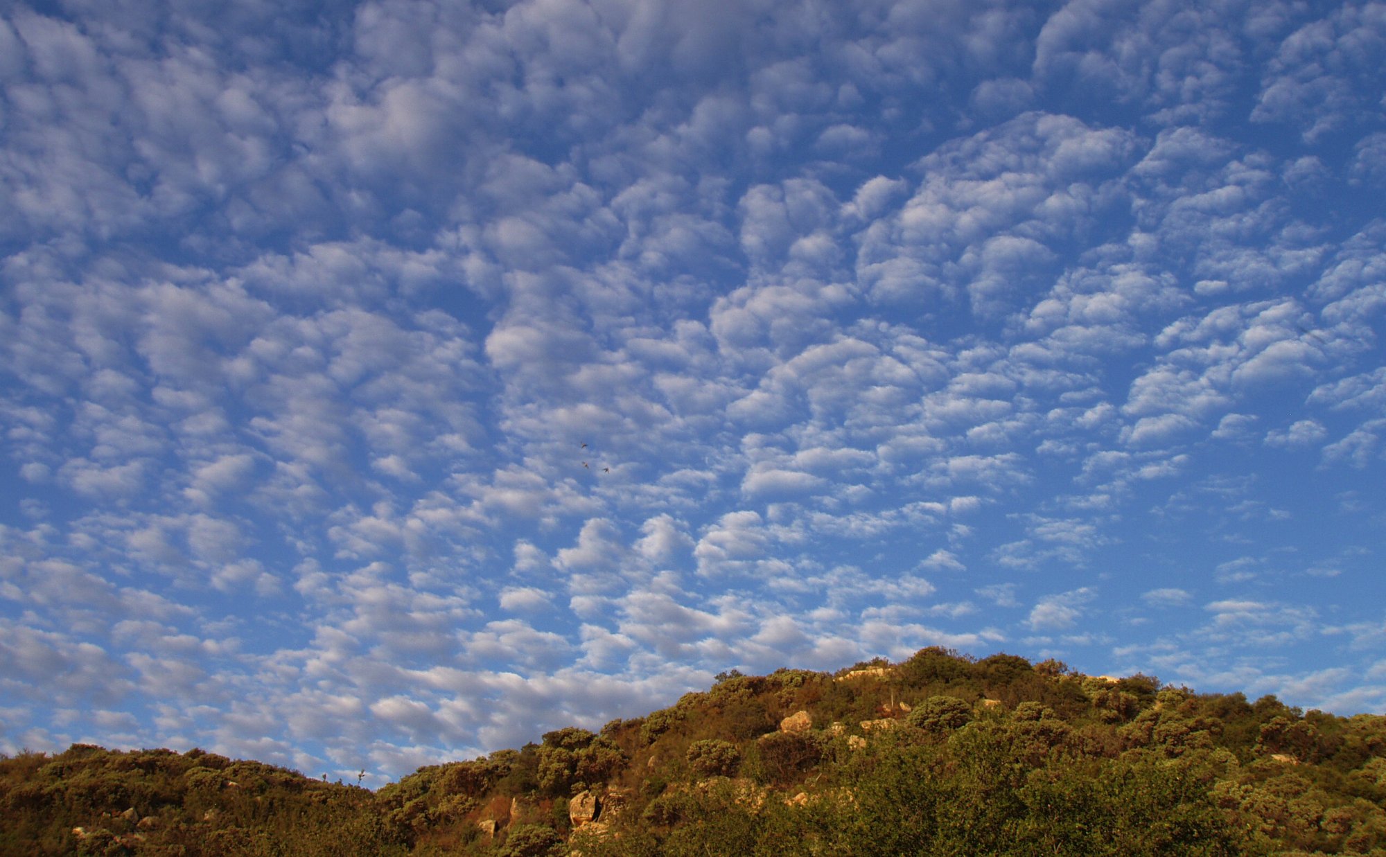 morning sky 8.05.22.jpg