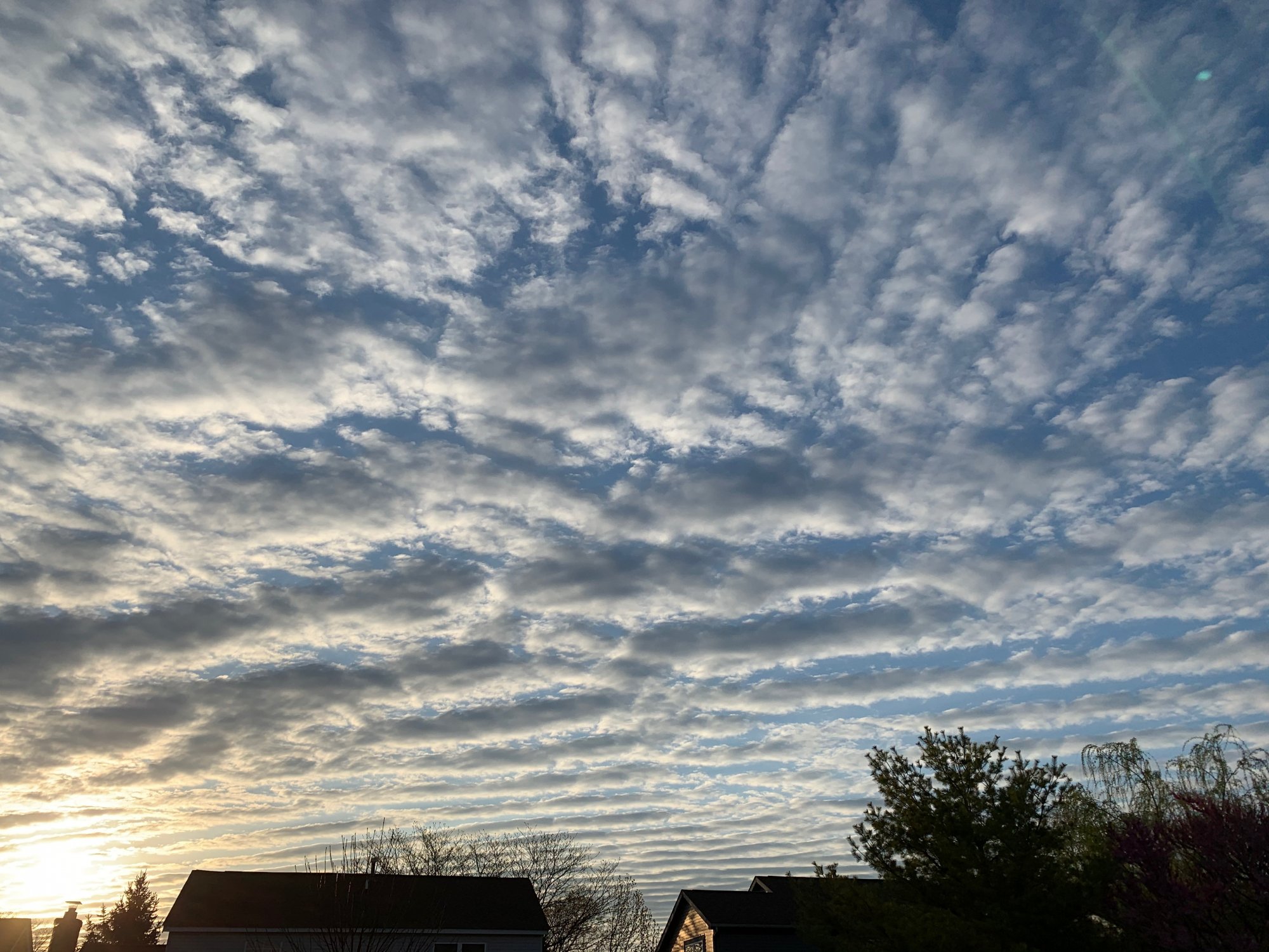 Morning sky from back door - April 2021.jpeg