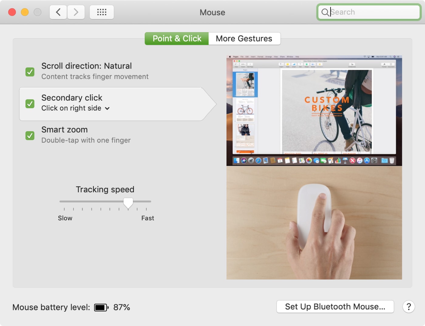 Mouse-Settings-Point-and-Click-Mac.jpg