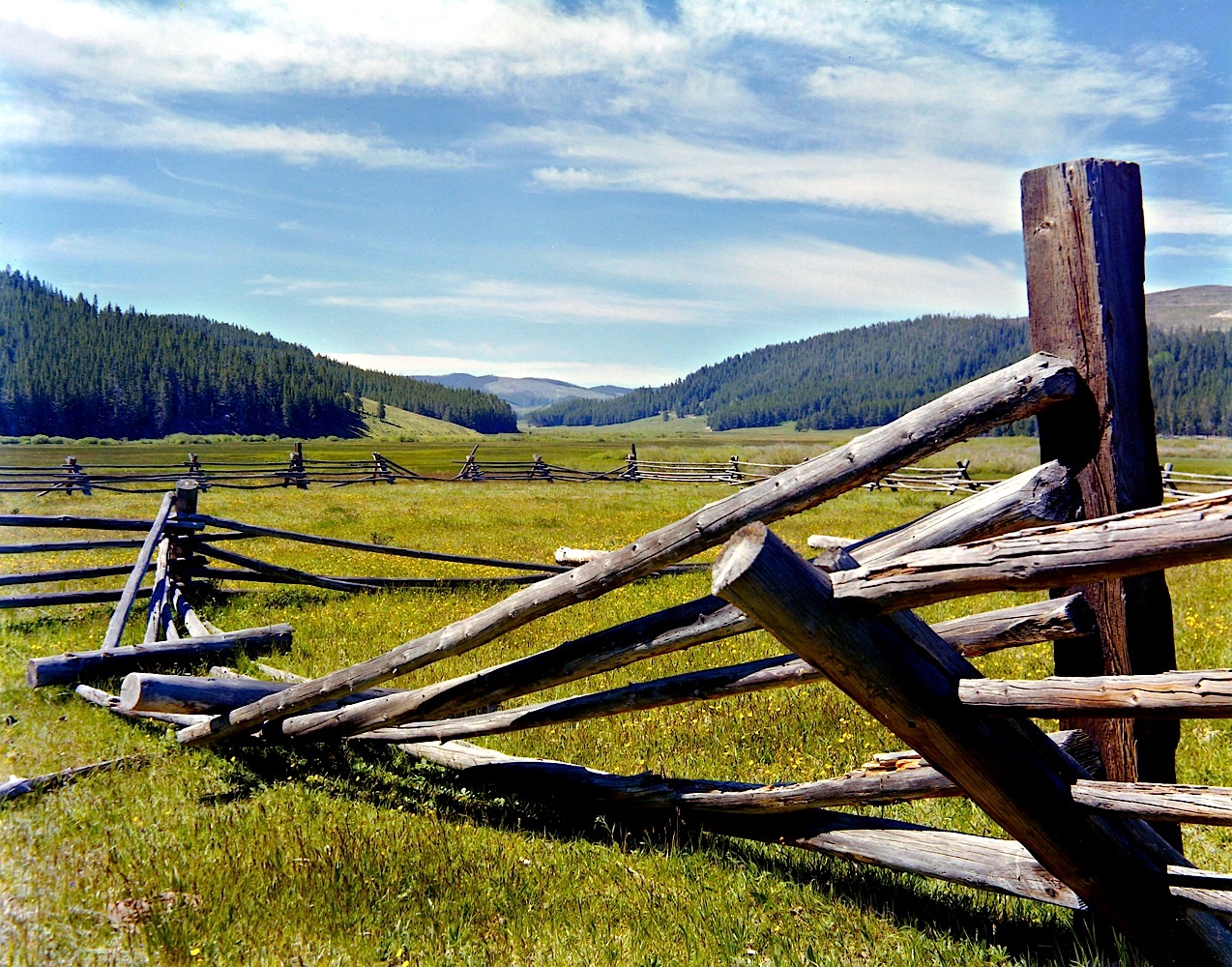 MT76_6M_1Fence.jpg