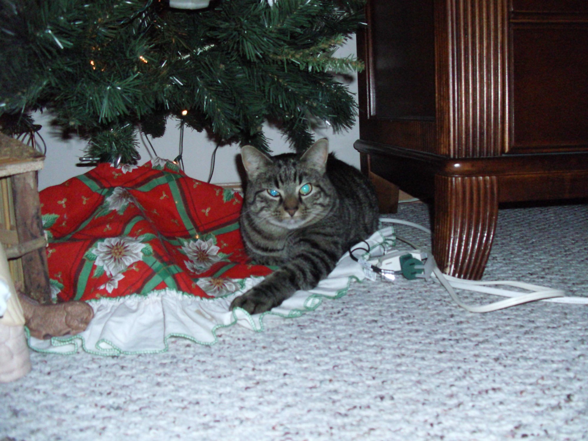 Mulder under Christmas tree 1.jpg