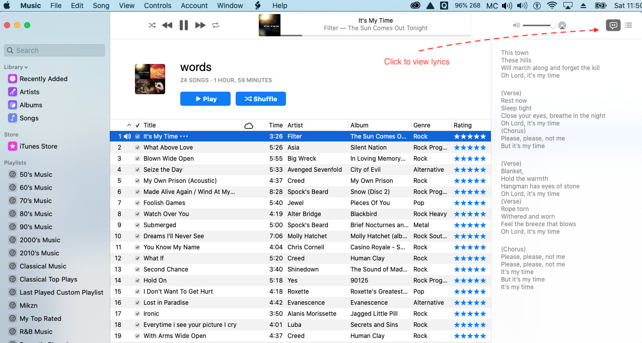 music-playlist-view-lyrics.png