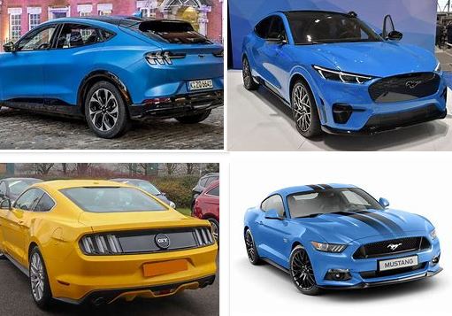 Mustang.JPG