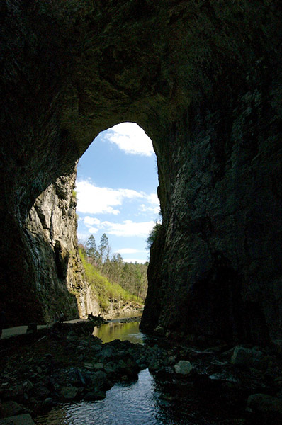 Natural Bridge Arch.jpg