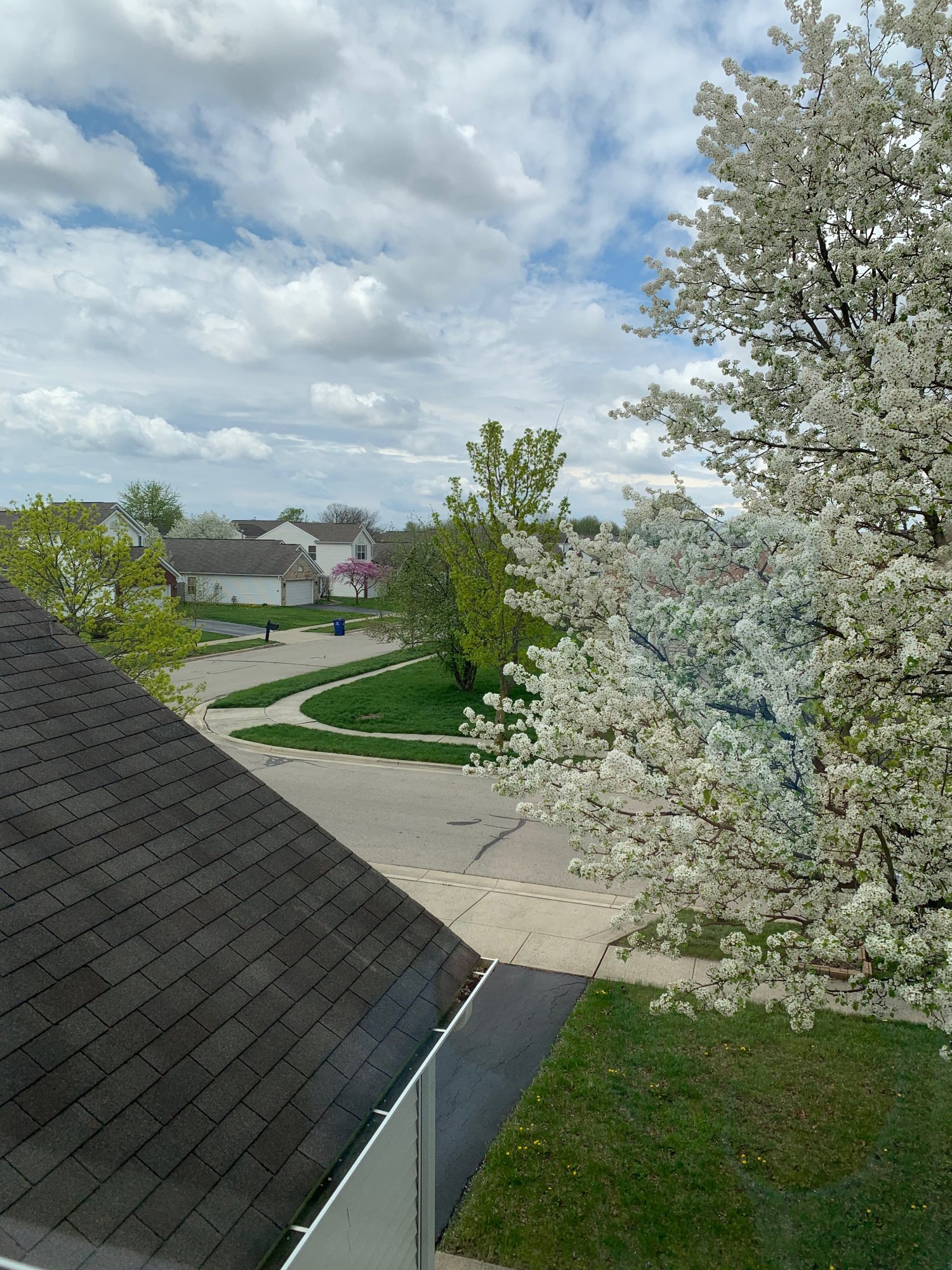 Neighborhood view from guest bedroom.jpeg