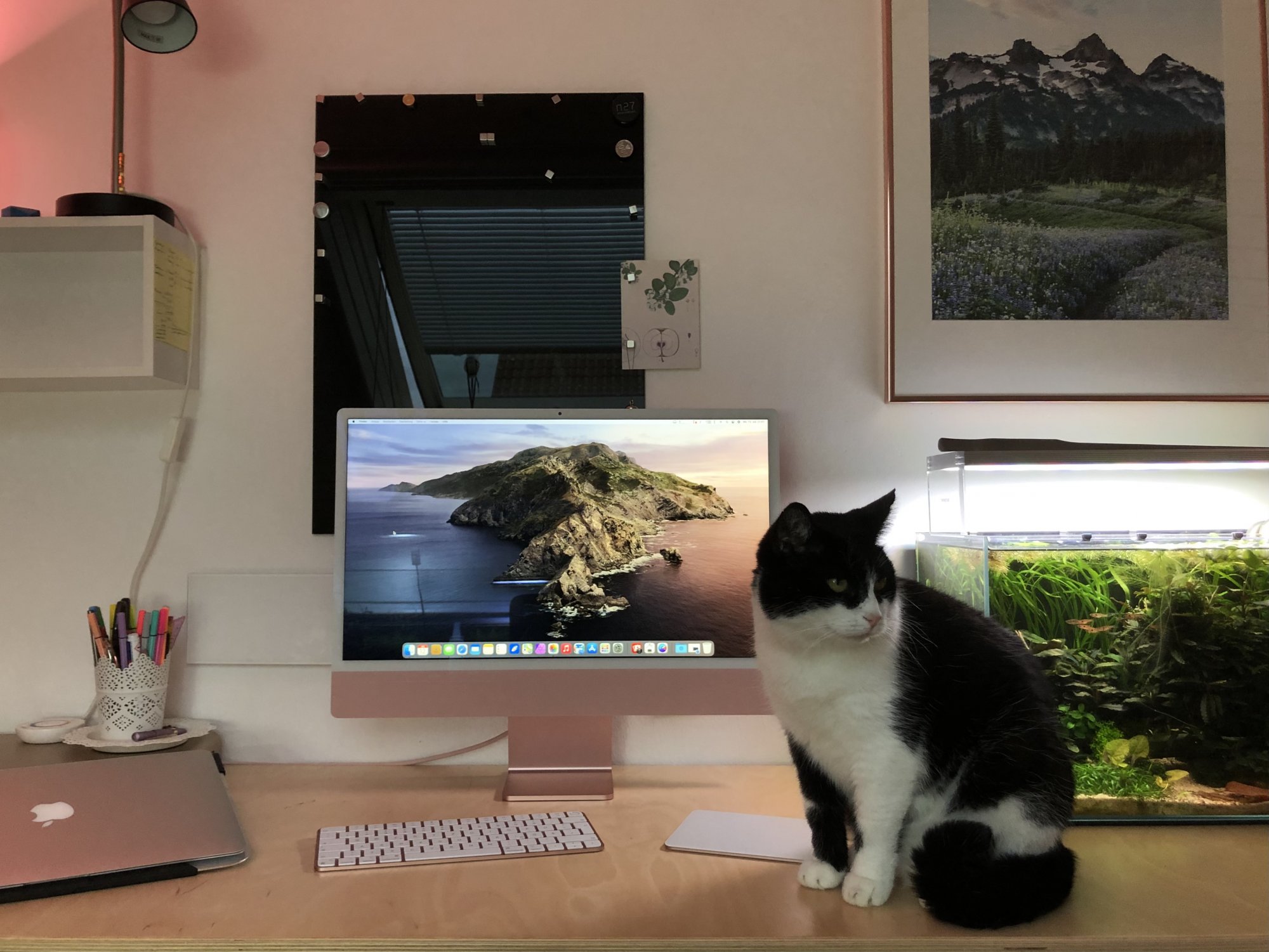 neuerimac24.jpg