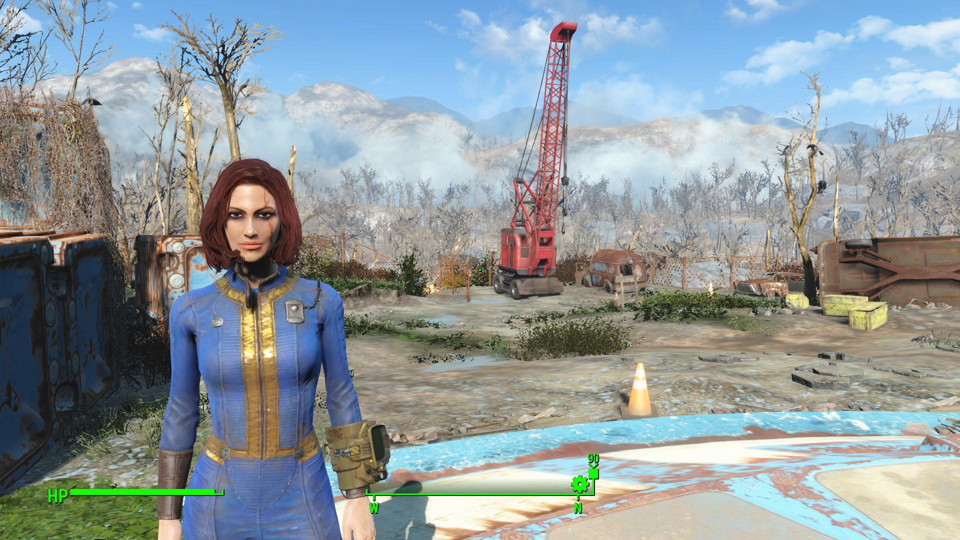 New Survivor by Vault 0719.jpg