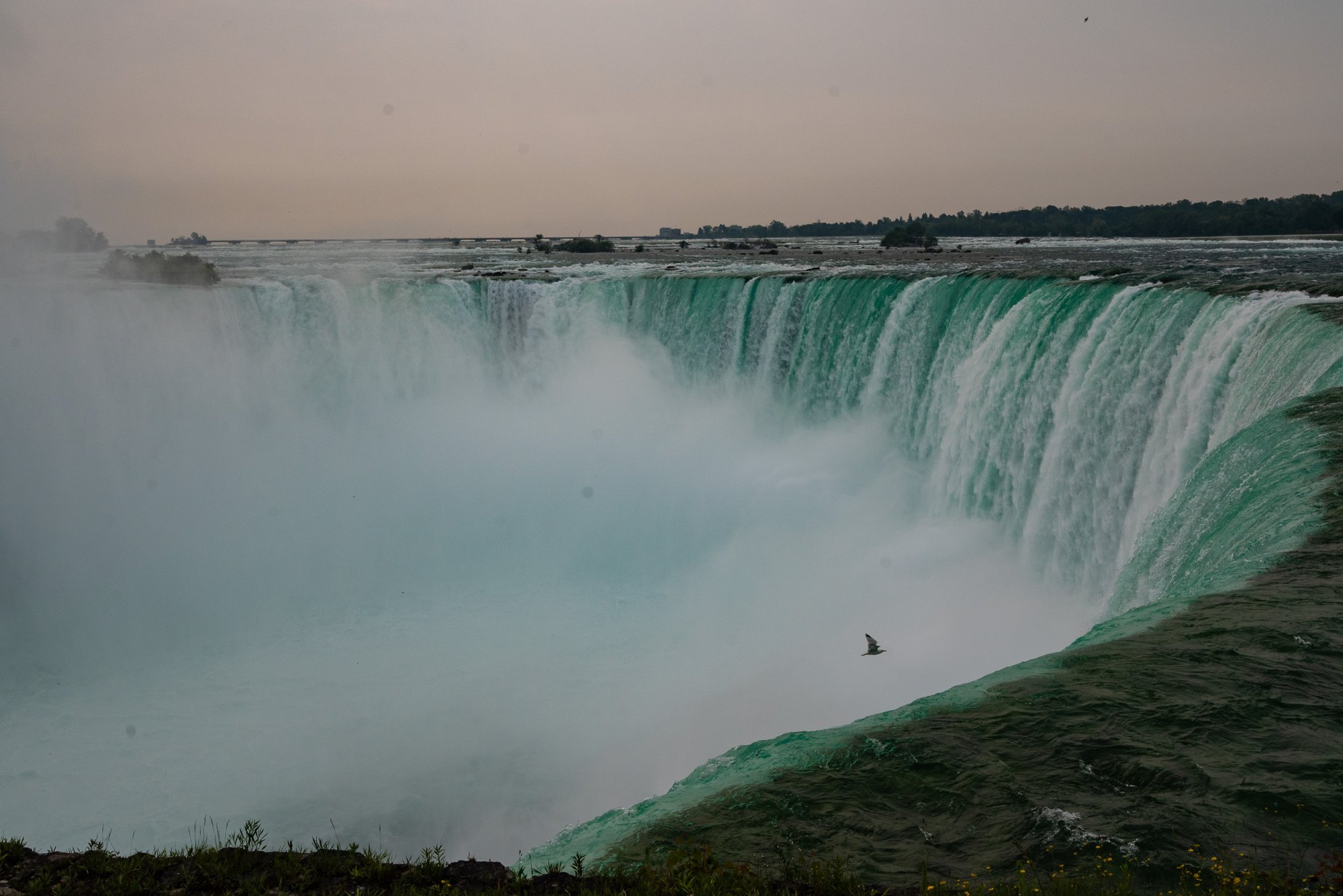 Niagra 2500px-77.jpg