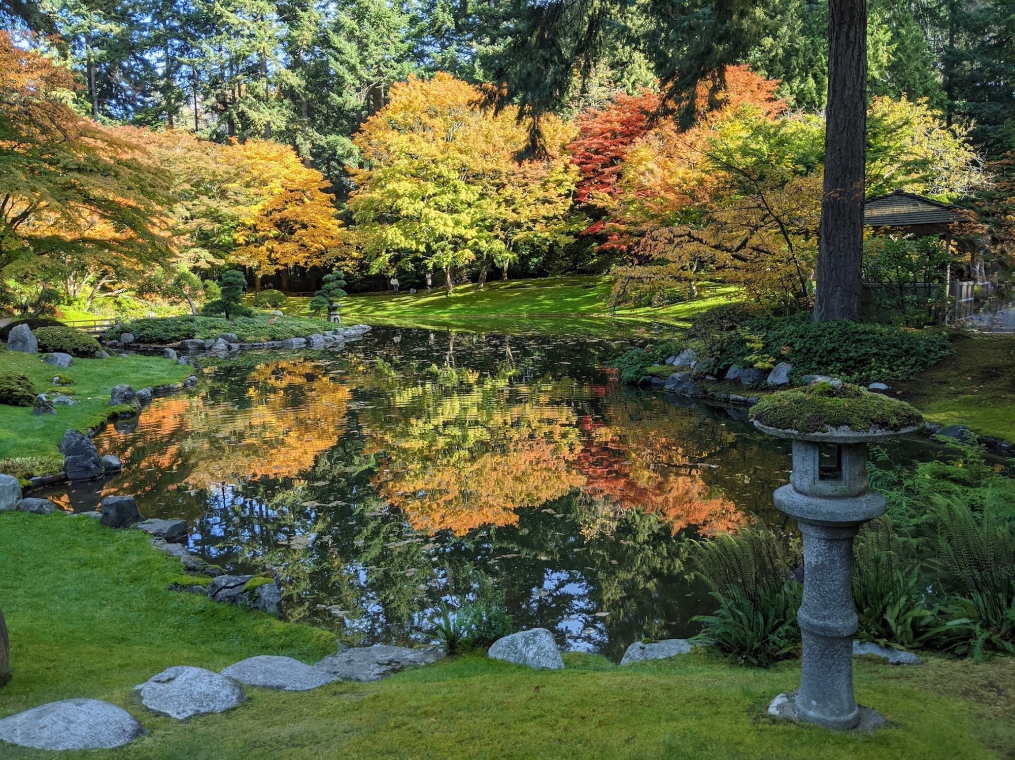 Nitobe Garden.jpeg