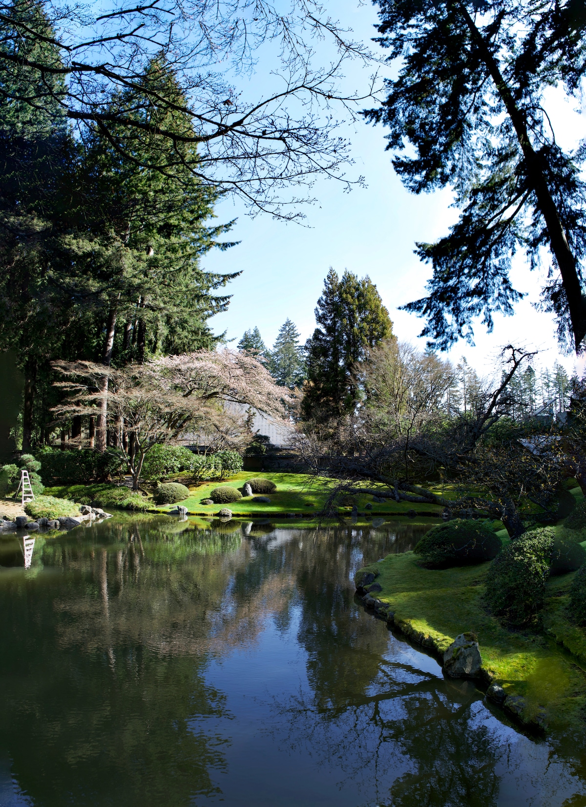 Nitobe vertical panorama.jpeg