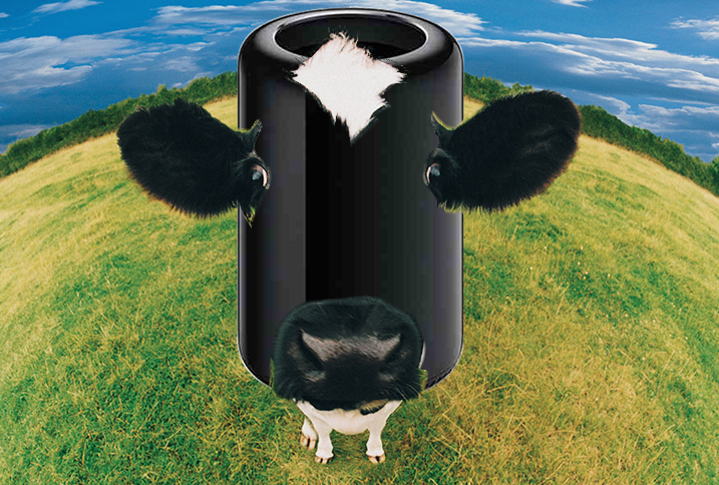 nMP Cow.png